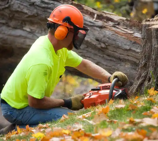 tree services New Bloomington